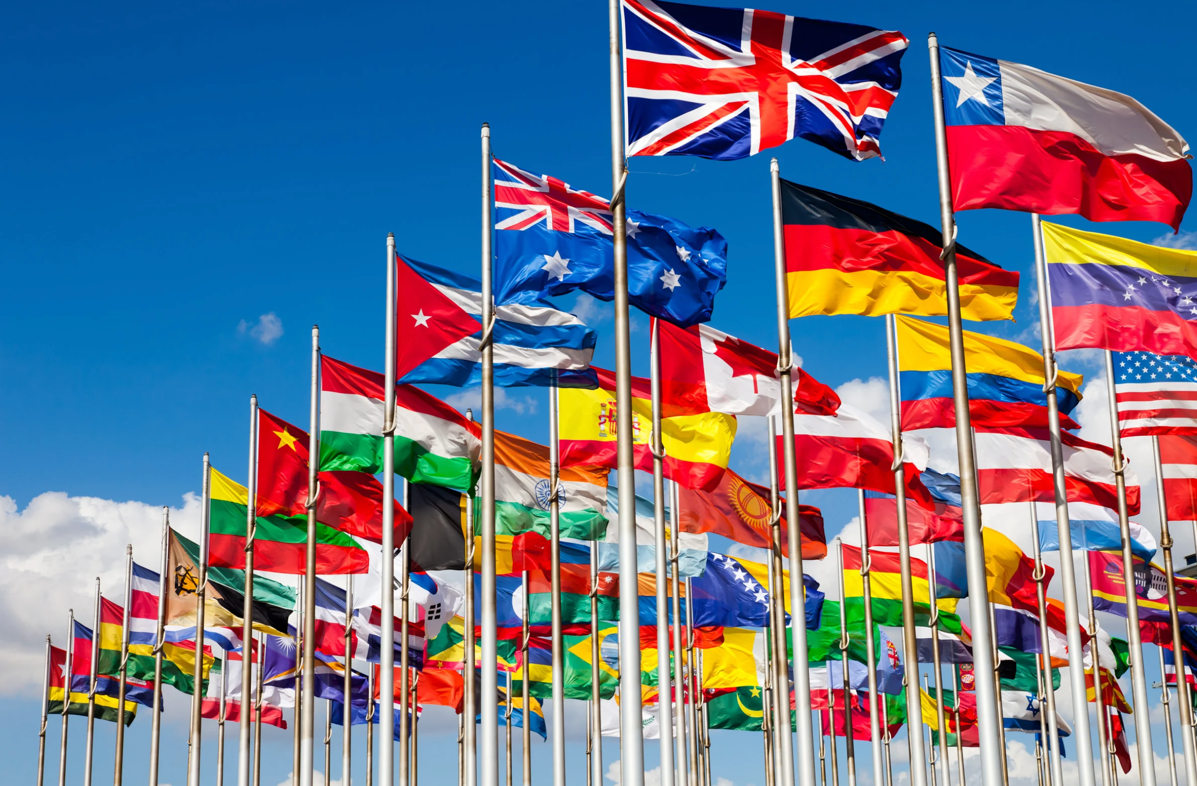 International Partnerships